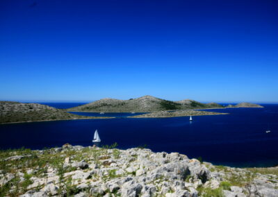 A Group Of Sailboats In The Water