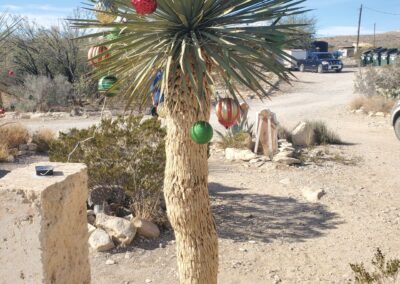 A Palm Tree With Ornaments On It