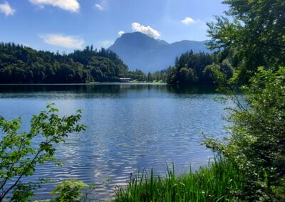 A Lake With Trees And Mountains In The Background