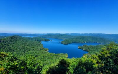 Exploring the Wild Beauty of Lake Jocassee